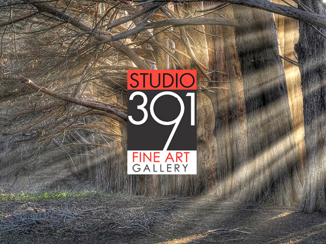 Studio 391