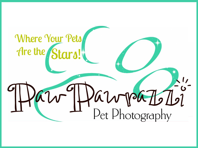 Pawpawrazzi Pet Photography