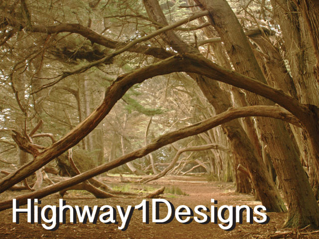 Highway1Designs