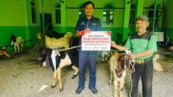 MPM Honda Jatim Salurkan Hewan Kurban di Momen Idul Adha