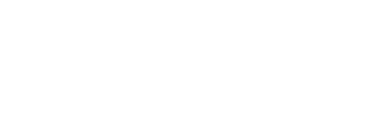  Best Immigration consultants in Dubai | Smart Reach Immigration 